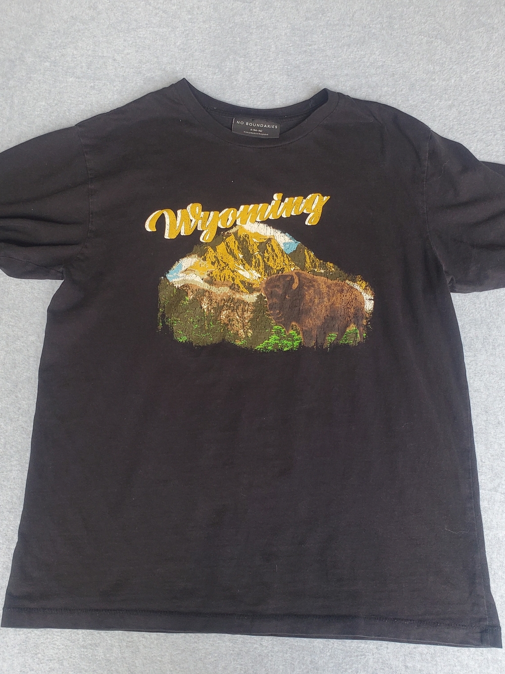 No Boundaries Black Wyoming Buffalo Graphic Tee